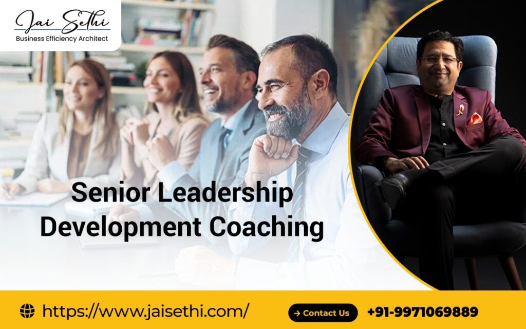 Senior Leadership Development Coaching